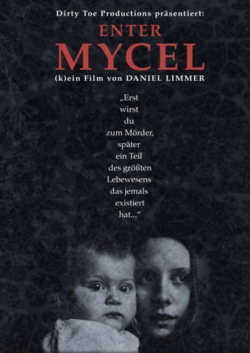 Entra en Mycel